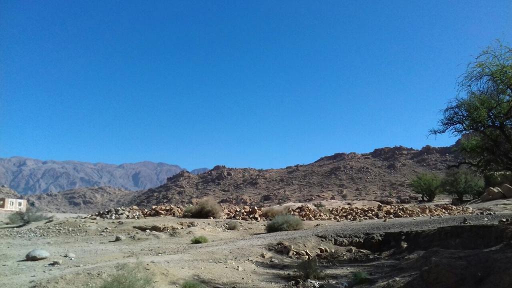 Maison D'Hotes Afoulki Tafraout Bagian luar foto